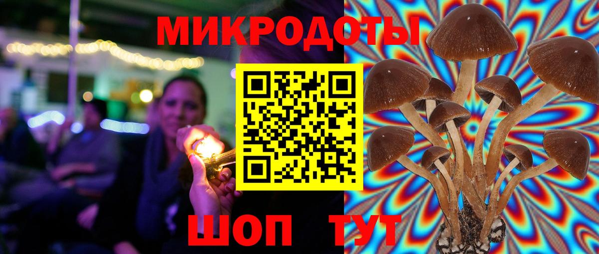 Галлюциногенные грибы мухоморы Железногорск