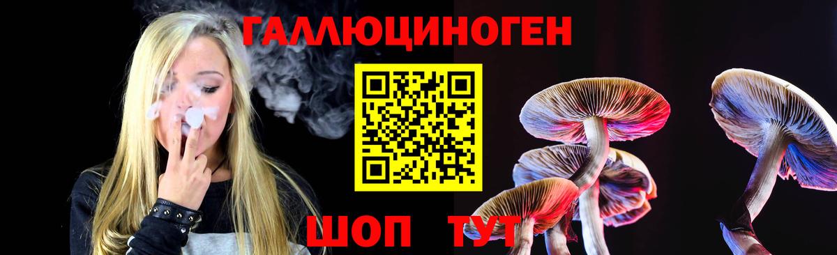 Железногорск  Псилоцибиновые грибы GOLDEN TEACHER  Галлюциногенные грибы Psilocybe  Вход с VPN 